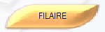 FILAIRE